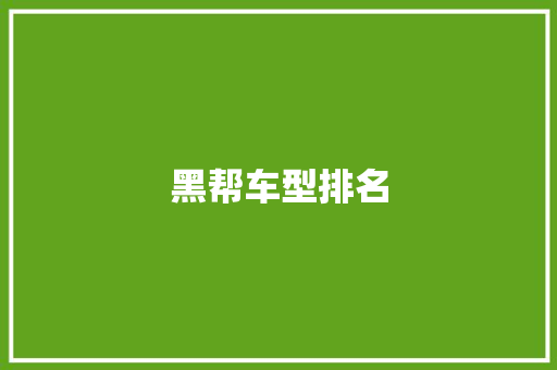 黑帮车型排名