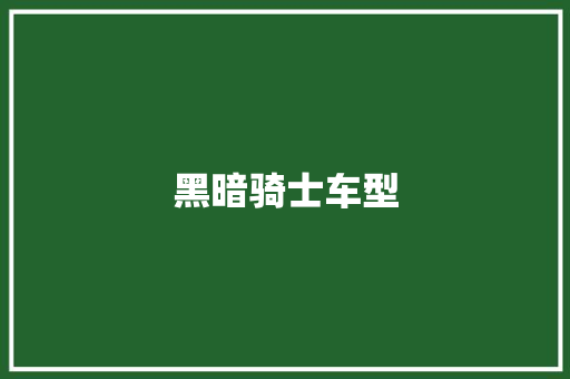 黑暗骑士车型