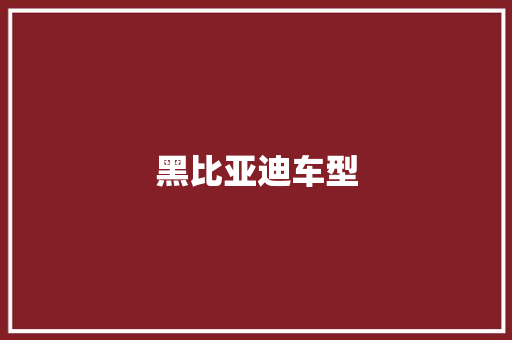 黑比亚迪车型