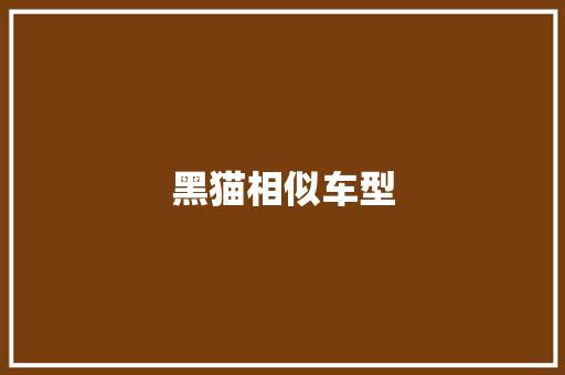 黑猫相似车型