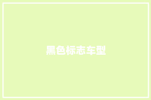 黑色标志车型