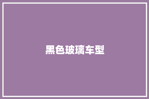 黑色玻璃车型