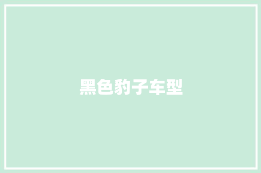 黑色豹子车型