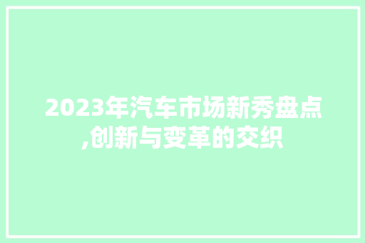 2023年汽车市场新秀盘点,创新与变革的交织