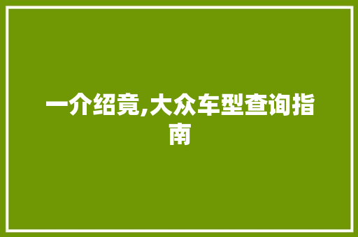 一介绍竟,大众车型查询指南