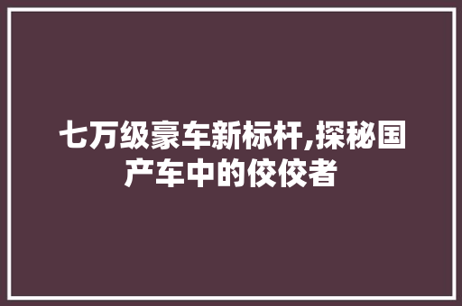 七万级豪车新标杆,探秘国产车中的佼佼者 蓄电池配件