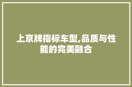 上京牌指标车型,品质与性能的完美融合