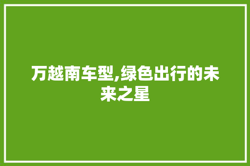 万越南车型,绿色出行的未来之星