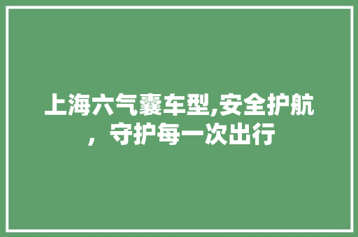 上海六气囊车型,安全护航，守护每一次出行