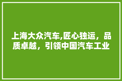 上海大众汽车,匠心独运，品质卓越，引领中国汽车工业发展新篇章