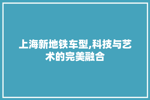 上海新地铁车型,科技与艺术的完美融合