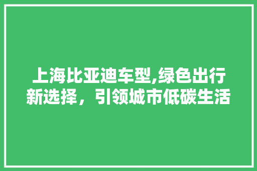上海比亚迪车型,绿色出行新选择，引领城市低碳生活