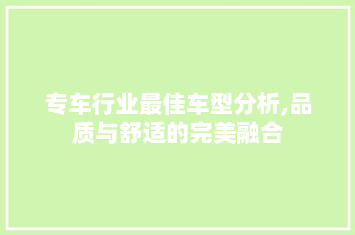 专车行业最佳车型分析,品质与舒适的完美融合