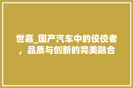 世嘉_国产汽车中的佼佼者，品质与创新的完美融合