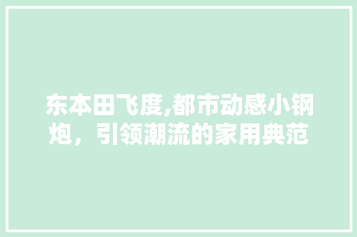 东本田飞度,都市动感小钢炮，引领潮流的家用典范