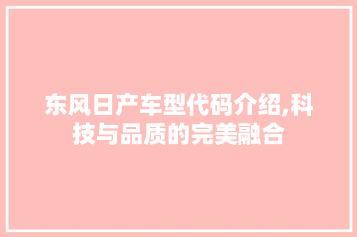 东风日产车型代码介绍,科技与品质的完美融合