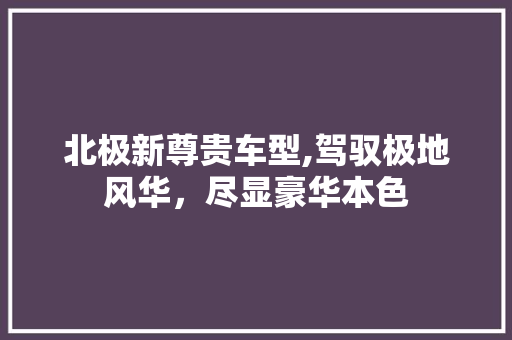 北极新尊贵车型,驾驭极地风华，尽显豪华本色