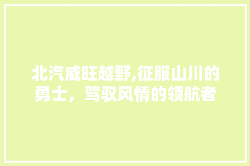 北汽威旺越野,征服山川的勇士，驾驭风情的领航者