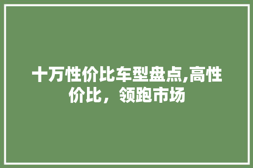 十万性价比车型盘点,高性价比，领跑市场
