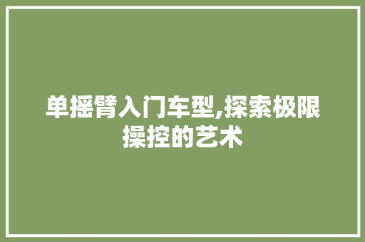 单摇臂入门车型,探索极限操控的艺术
