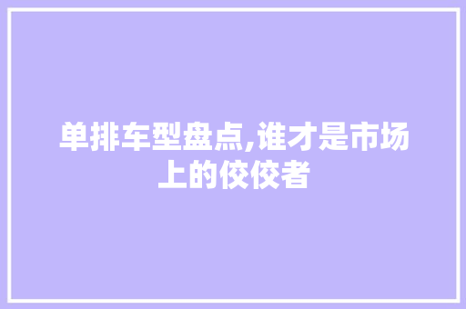 单排车型盘点,谁才是市场上的佼佼者