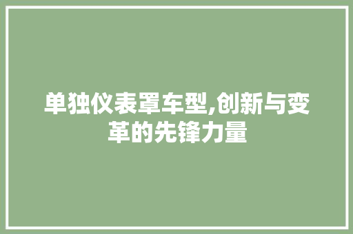 单独仪表罩车型,创新与变革的先锋力量