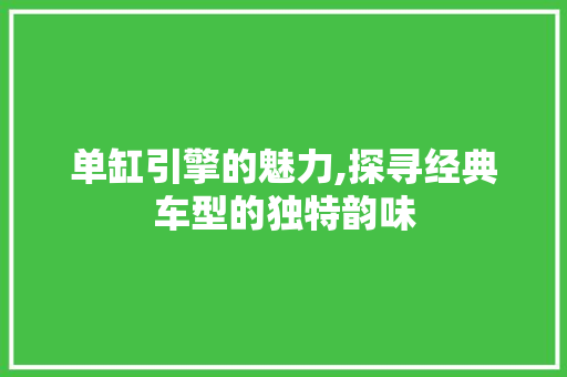 单缸引擎的魅力,探寻经典车型的独特韵味