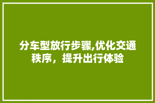 分车型放行步骤,优化交通秩序，提升出行体验 车灯配件