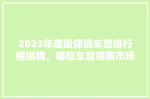 2023年度级保值车型排行榜揭晓，哪些车型领跑市场 新能源汽车
