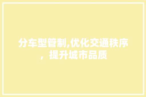 分车型管制,优化交通秩序，提升城市品质