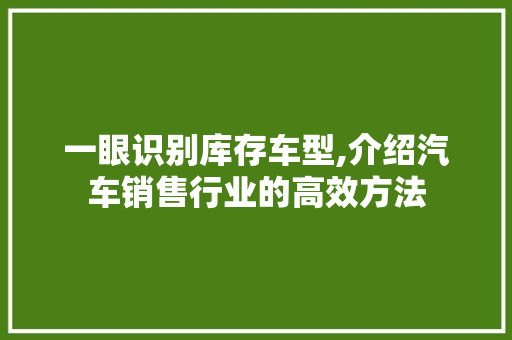一眼识别库存车型,介绍汽车销售行业的高效方法