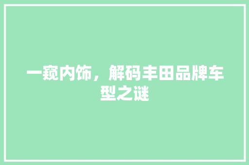 一窥内饰，解码丰田品牌车型之谜