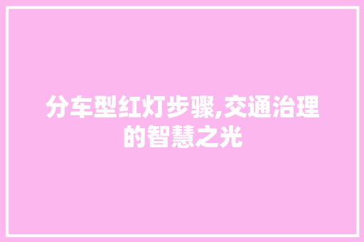 分车型红灯步骤,交通治理的智慧之光