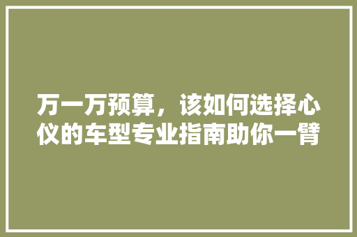 万一万预算，该如何选择心仪的车型专业指南助你一臂之力