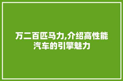 万二百匹马力,介绍高性能汽车的引擎魅力