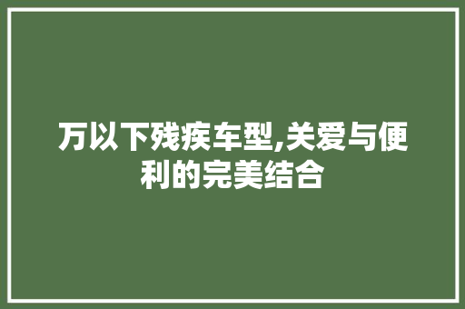 万以下残疾车型,关爱与便利的完美结合