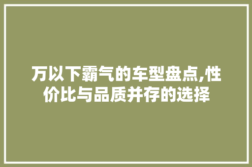 万以下霸气的车型盘点,性价比与品质并存的选择