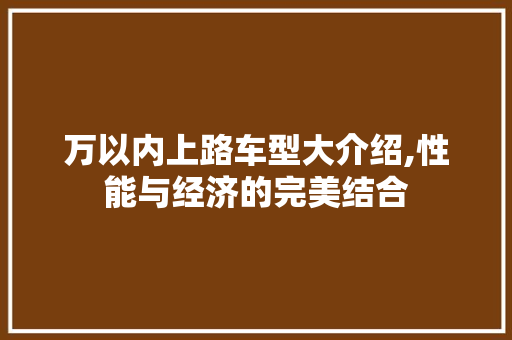 万以内上路车型大介绍,性能与经济的完美结合