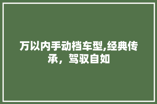 万以内手动档车型,经典传承，驾驭自如