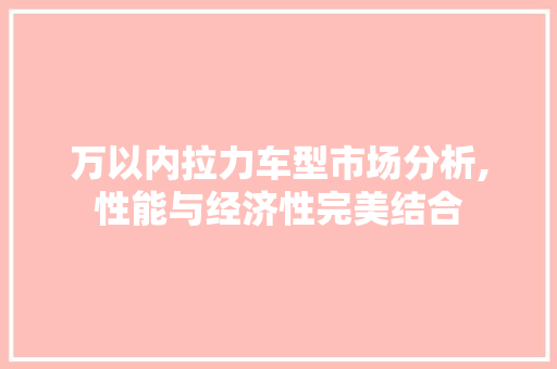 万以内拉力车型市场分析,性能与经济性完美结合