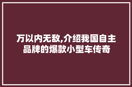 万以内无敌,介绍我国自主品牌的爆款小型车传奇