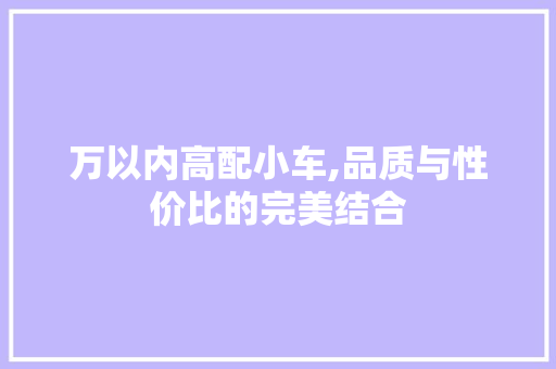 万以内高配小车,品质与性价比的完美结合