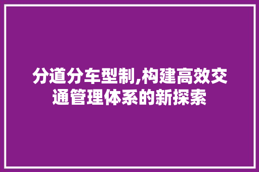 分道分车型制,构建高效交通管理体系的新探索