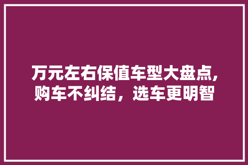 万元左右保值车型大盘点,购车不纠结，选车更明智