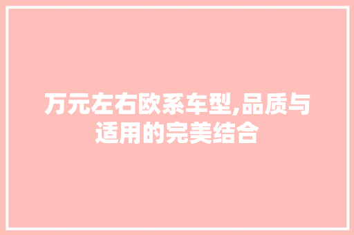 万元左右欧系车型,品质与适用的完美结合