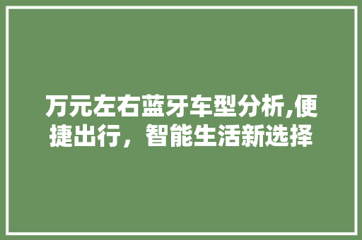 万元左右蓝牙车型分析,便捷出行，智能生活新选择