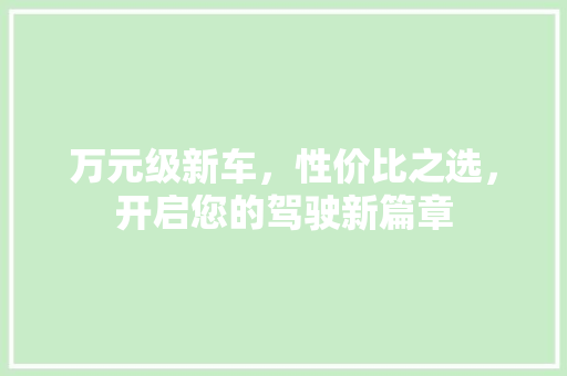 万元级新车，性价比之选，开启您的驾驶新篇章