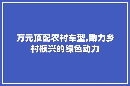 万元顶配农村车型,助力乡村振兴的绿色动力