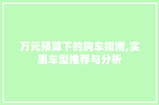 万元预算下的购车指南,实惠车型推荐与分析