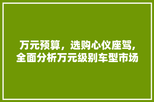 万元预算，选购心仪座驾,全面分析万元级别车型市场